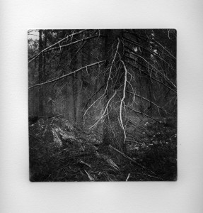 Sticks and Stones 25 